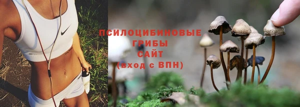 кокс Пересвет