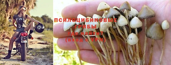 кокс Пересвет